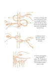 40 Knots and How to Tie Them Chronicle Books