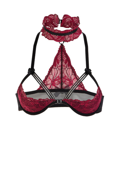 Bordeaux Lace Underwire Halfcup Bra Eros Veneziani
