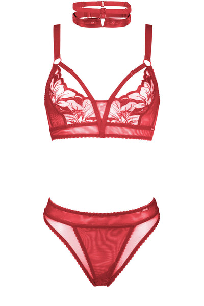 Teresa Embroidery French Lingerie Set Impudique