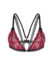 Bordeaux Lace Triangle Bra Eros Veneziani