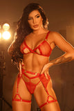 Bianca Sheer Cutout 3 Piece Lingerie Set Lingerie By Coco