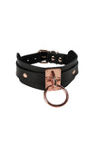 Eternity Rose Gold Collar VoyeurX