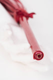 Red Hot Flogger Fräulein Kink