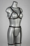 Insolence Rose Gold Lingerie Set VoyeurX