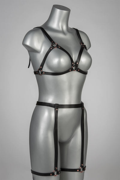 Insolence Rose Gold Lingerie Set VoyeurX