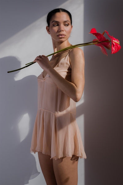 Nula Sheer Silk Chiffon Dress Taryn Winters