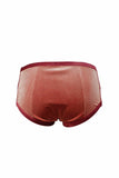 Smoky Pink Velour Period-Proof Panty K+1%
