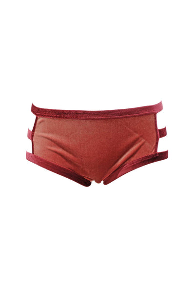 Smoky Pink Velour Period-Proof Panty K+1%