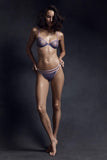 Kelani Sheer Lingerie Set Taryn Winters