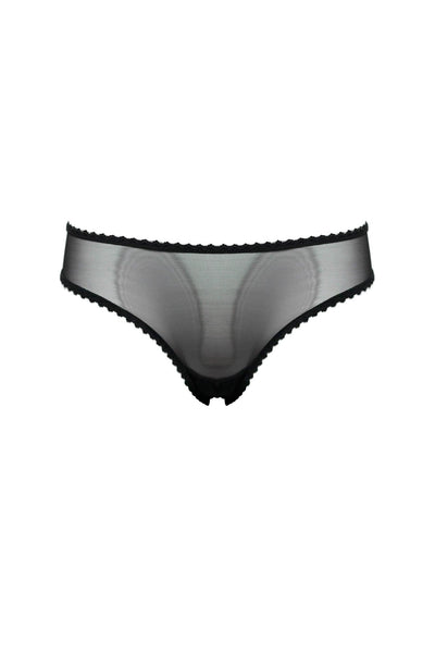 Colette Sheer Thong Taryn Winters